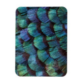 Blauwgroen fazantveerontwerp magneet (Verticaal)
