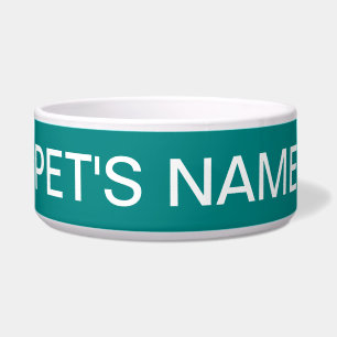 Blauwgroen Groen Traditionele Kleur Gelijke Voerbakje