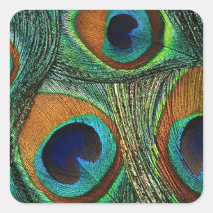 Blauwgroen-groene blauwe doekschroefdoekjes / zege vierkante sticker