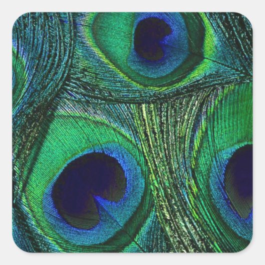 Blauwgroen Groene Blauwe Peacock Veer Stickers / A (Voorkant)