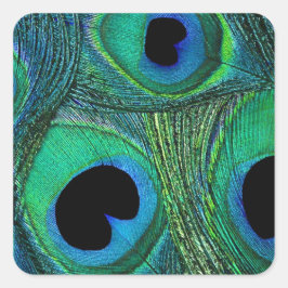 Blauwgroen Groene Blauwe Peacock Veer Stickers / A
