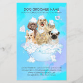 Blauwgroen Huisdier Grooming Zittende Hond Kat Spa Flyer (Achterkant)