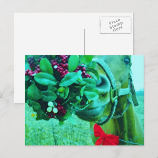 Blauwgroen kerstmannetje feestdagenkaart (Voorkant / Achterkant)