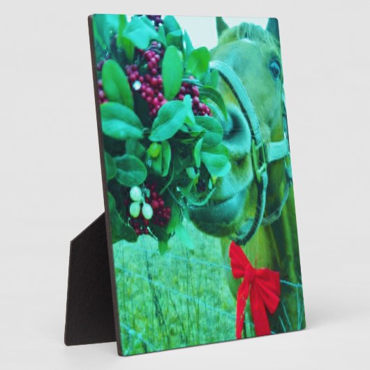 Blauwgroen kerstmannetje fotoplaat (Zijkant)