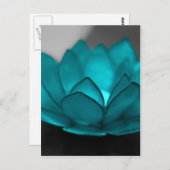 Blauwgroen Lotus Briefkaart (Voorkant / Achterkant)