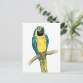 Blauwgroen Macaw Briefkaart (Staand voorkant)