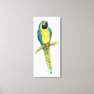 Blauwgroen Macaw Canvas Afdruk