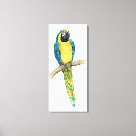 Blauwgroen Macaw Canvas Afdruk (Voorkant)