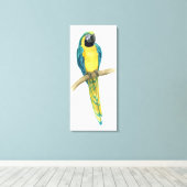 Blauwgroen Macaw Canvas Afdruk (Insitu (Houten vloer))