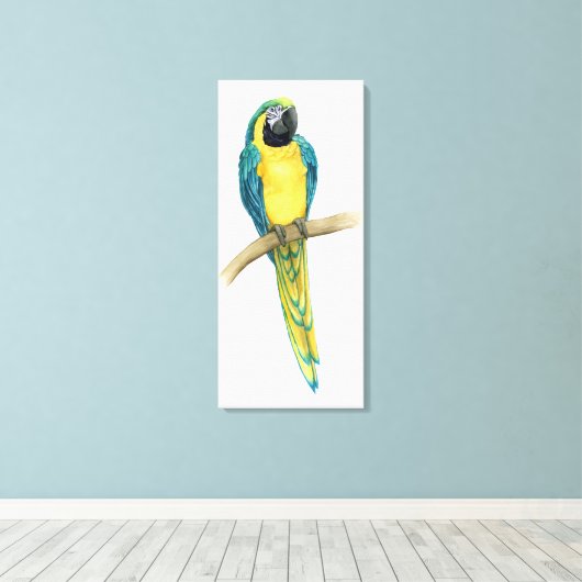 Blauwgroen Macaw Canvas Afdruk (Insitu (Houten vloer))