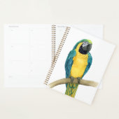 Blauwgroen Macaw Planner (Display)