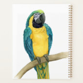 Blauwgroen Macaw Planner (Achterkant)