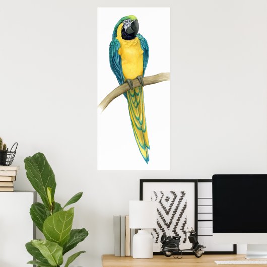 Blauwgroen Macaw Poster (Thuiskantoor)