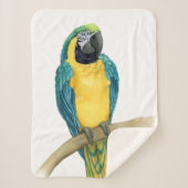 Blauwgroen Macaw Sherpa Deken (Voorkant)
