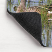 Blauwgroen mannelijk en vrouw met blauw vleugels i muismat (Hoek)