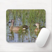 Blauwgroen mannelijk en vrouw met blauw vleugels i muismat (Met muis)