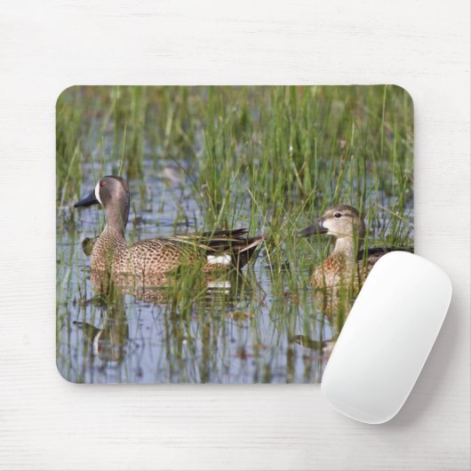 Blauwgroen mannelijk en vrouw met blauw vleugels i muismat (Met muis)