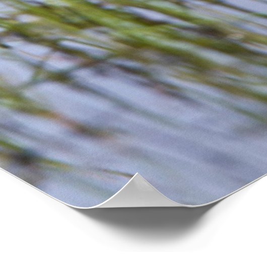 Blauwgroen mannelijk en vrouw met blauw vleugels i poster (Hoek)