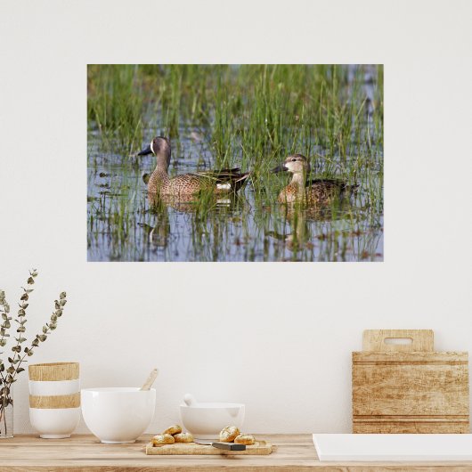 Blauwgroen mannelijk en vrouw met blauw vleugels i poster (Keuken)