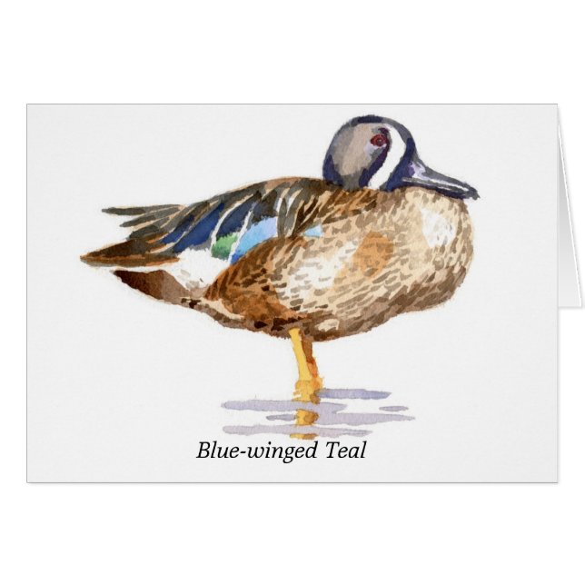 Blauwgroen met blauwe vleugels (Voorkant Horizontaal)