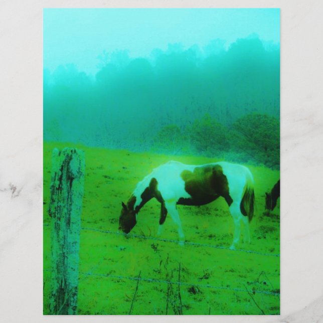 Blauwgroen nevel Reto gekleurde verf pony Paard (Voorkant)