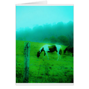 Blauwgroen nevel Reto gekleurde verf pony Paard