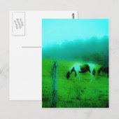 Blauwgroen nevel Reto gekleurde verf pony Paard Briefkaart (Voorkant / Achterkant)