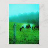 Blauwgroen nevel Reto gekleurde verf pony Paard Briefkaart (Voorkant)
