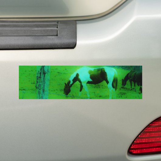 Blauwgroen nevel Reto gekleurde verf pony Paard Bumpersticker (Op auto)