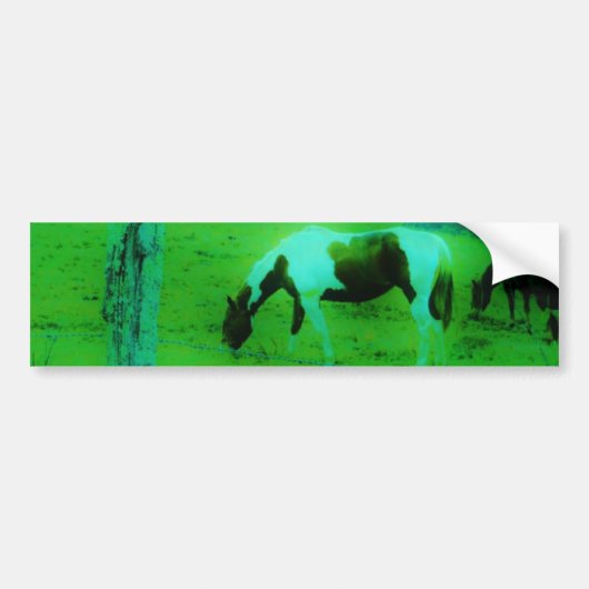 Blauwgroen nevel Reto gekleurde verf pony Paard Bumpersticker (Voorkant)