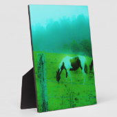 Blauwgroen nevel Reto gekleurde verf pony Paard Fotoplaat (Zijkant)