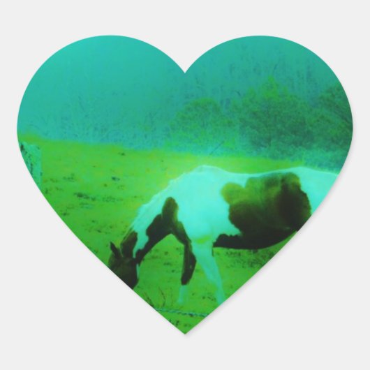 Blauwgroen nevel Reto gekleurde verf pony Paard Hart Sticker (Voorkant)