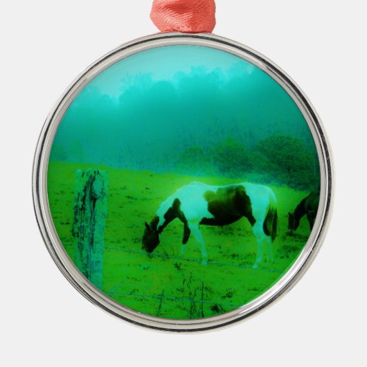 Blauwgroen nevel Reto gekleurde verf pony Paard Metalen Ornament (Voorkant)