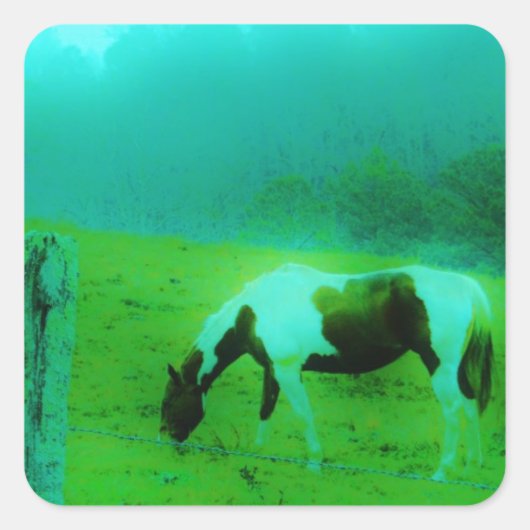 Blauwgroen nevel Reto gekleurde verf pony Paard Vierkante Sticker (Voorkant)