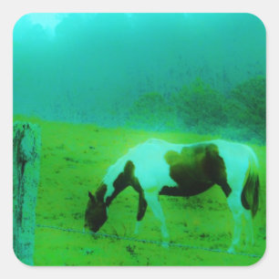 Blauwgroen nevel Reto gekleurde verf pony Paard Vierkante Sticker