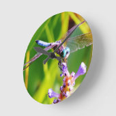 Blauwgroen & paarse Libel Ronde Klok (Hoek)