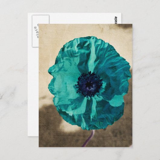 Blauwgroen papaver Briefkaart (Voorkant / Achterkant)