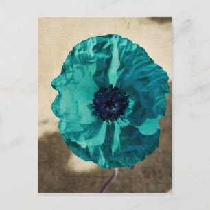 Blauwgroen papaver Briefkaart