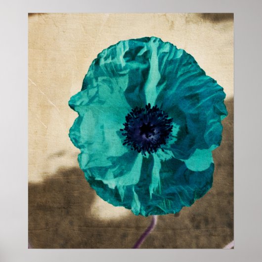 Blauwgroen papaver Poster (Voorkant)