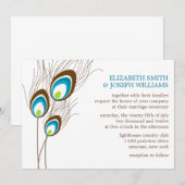 Blauwgroen Peacock Feathers Wedding Kaart (Voorkant / Achterkant)