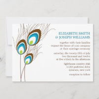 Blauwgroen Peacock Feathers Wedding