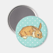 Blauwgroen Polka Dot bunny Magneet (Voorkant / Achterkant)
