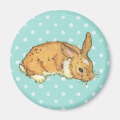 Blauwgroen Polka Dot bunny Magneet (Voorkant)