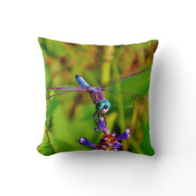 Blauwgroen regenboogdragonvlieg