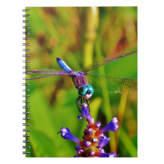 Blauwgroen regenboogdragonvlieg notitieboek
