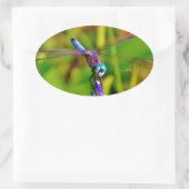 Blauwgroen regenboogdragonvlieg ovale sticker (Tas)