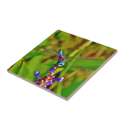 Blauwgroen regenboogdragonvlieg tegeltje (Zijkant)