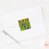 Blauwgroen regenboogdragonvlieg vierkante sticker (Envelop)