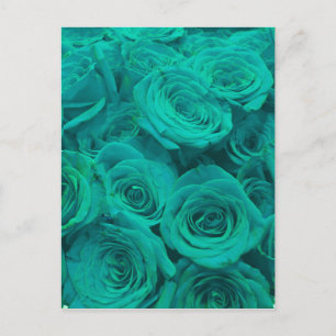 blauwgroen rozen briefkaart