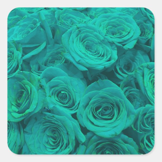 blauwgroen rozen vierkante sticker (Voorkant)